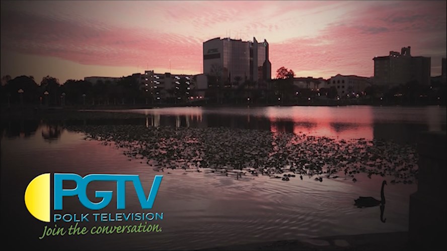 Thumbnail image for Station ID: Swan Angled logo