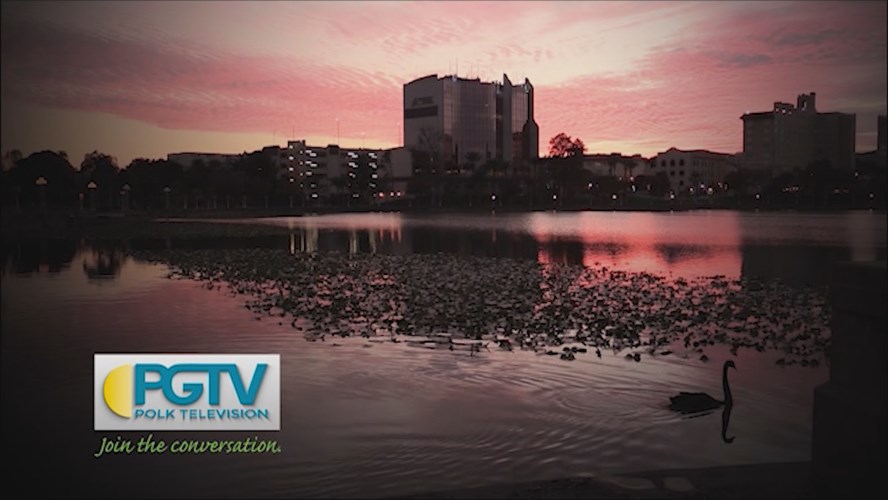 Station ID: Swan Sunset
