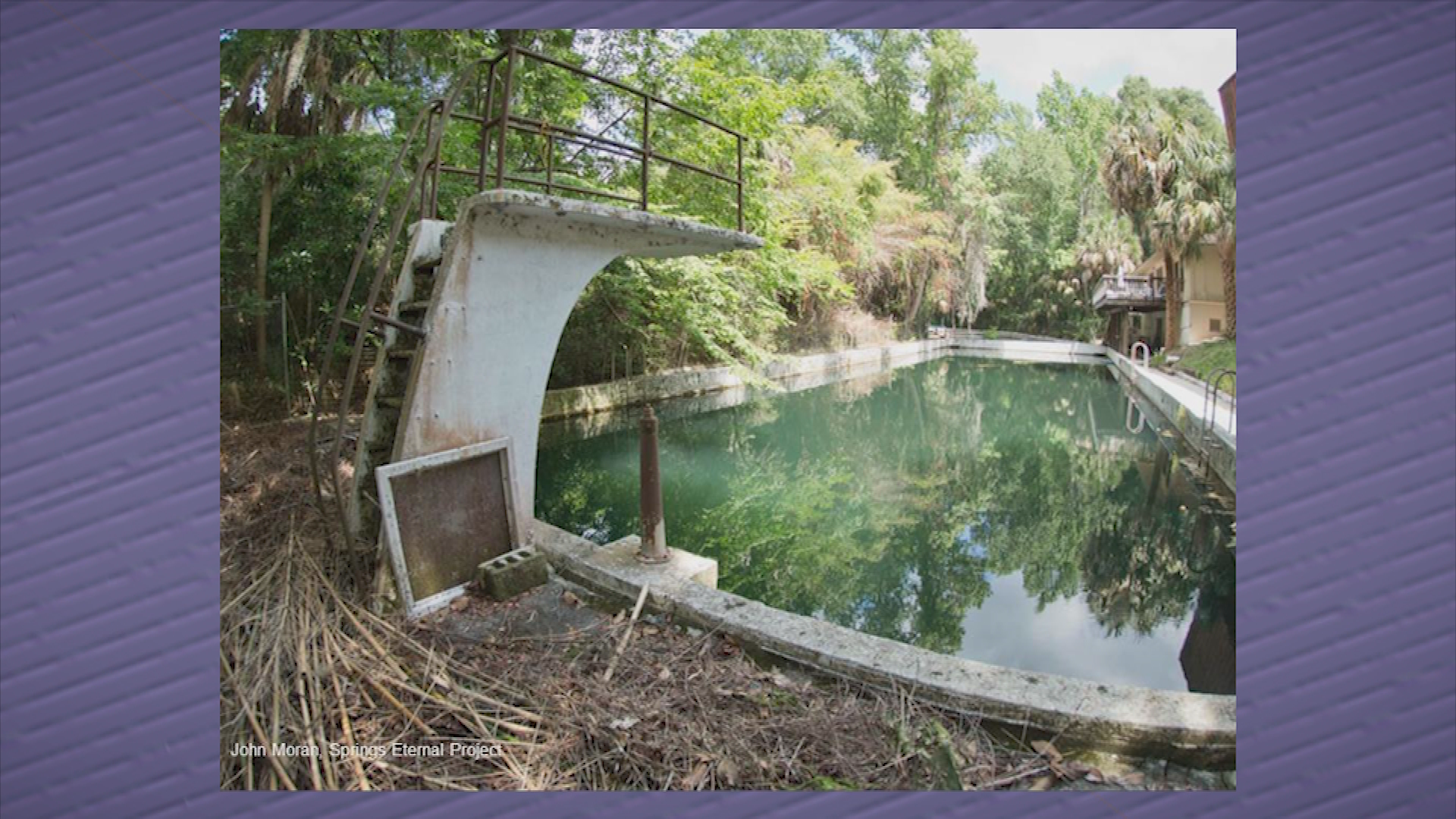 Lunch 'n Learn: Florida Springs