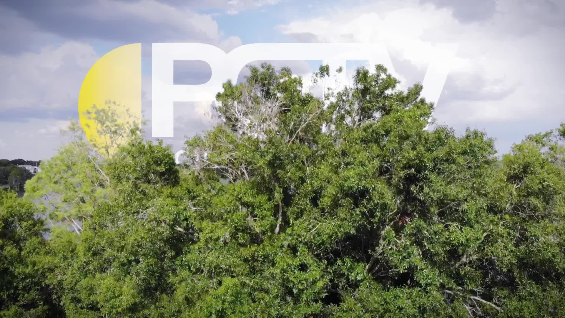 Thumbnail image for Over Lake Station ID