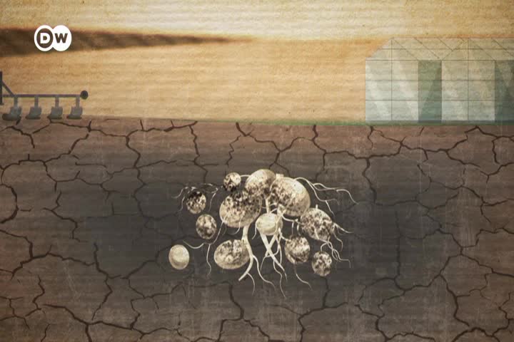 Thumbnail image for Tomorrow Today 8/21/2023