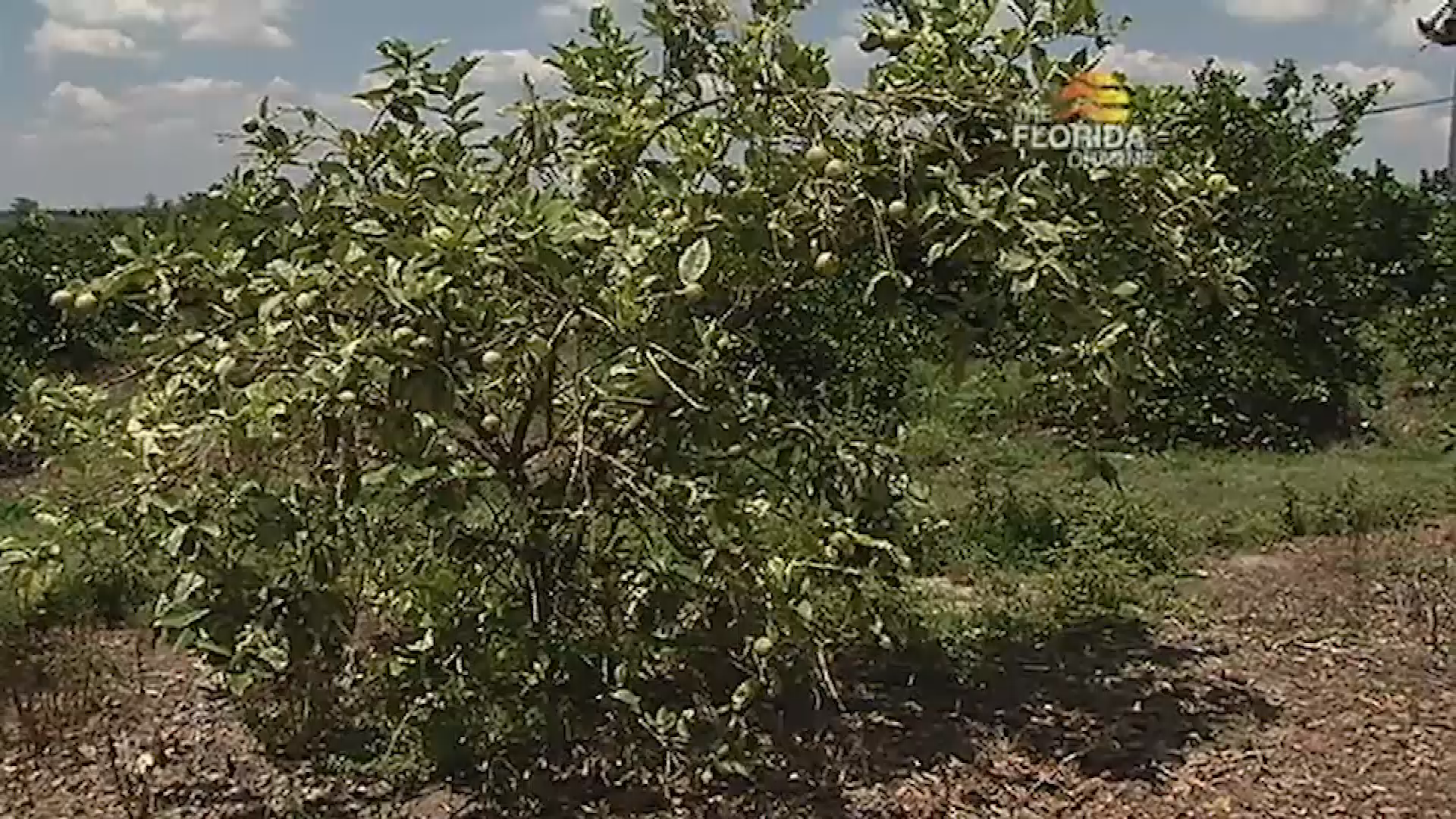 Thumbnail image for Florida Crossroads – Off the Beaten Path Part 3