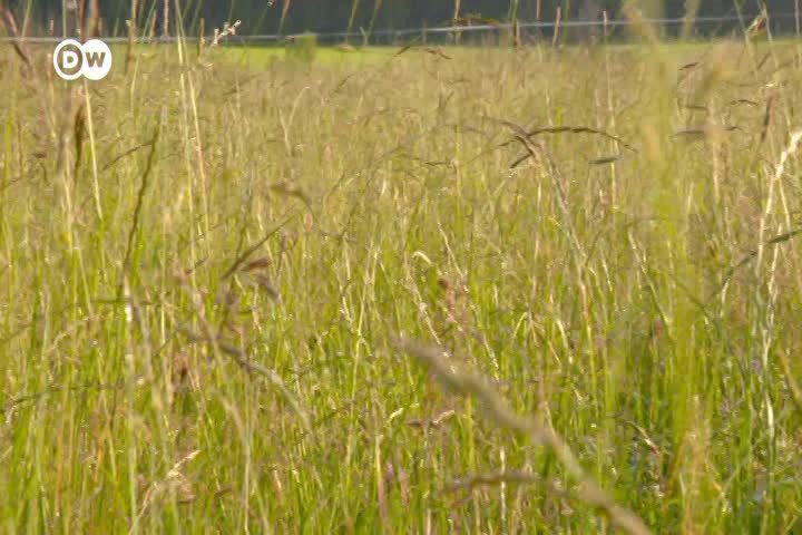 Thumbnail image for Tomorrow Today