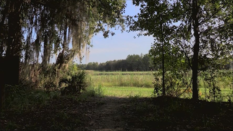 Station ID;Colt Creek Trail Lake
