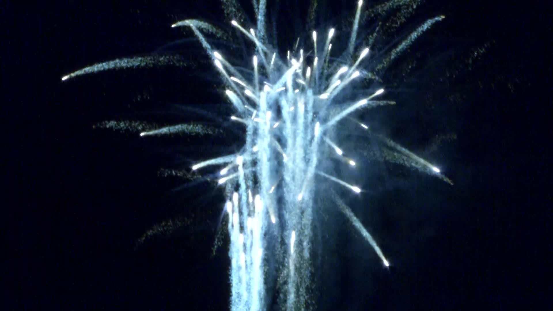 Thumbnail image for 2019 Lakeland Christmas Parade