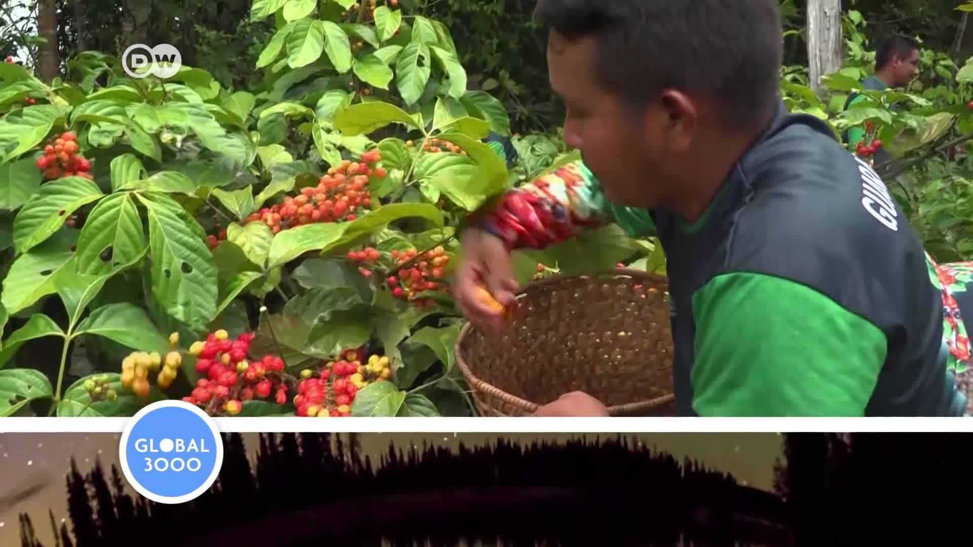 Thumbnail image for Global3000_January 13