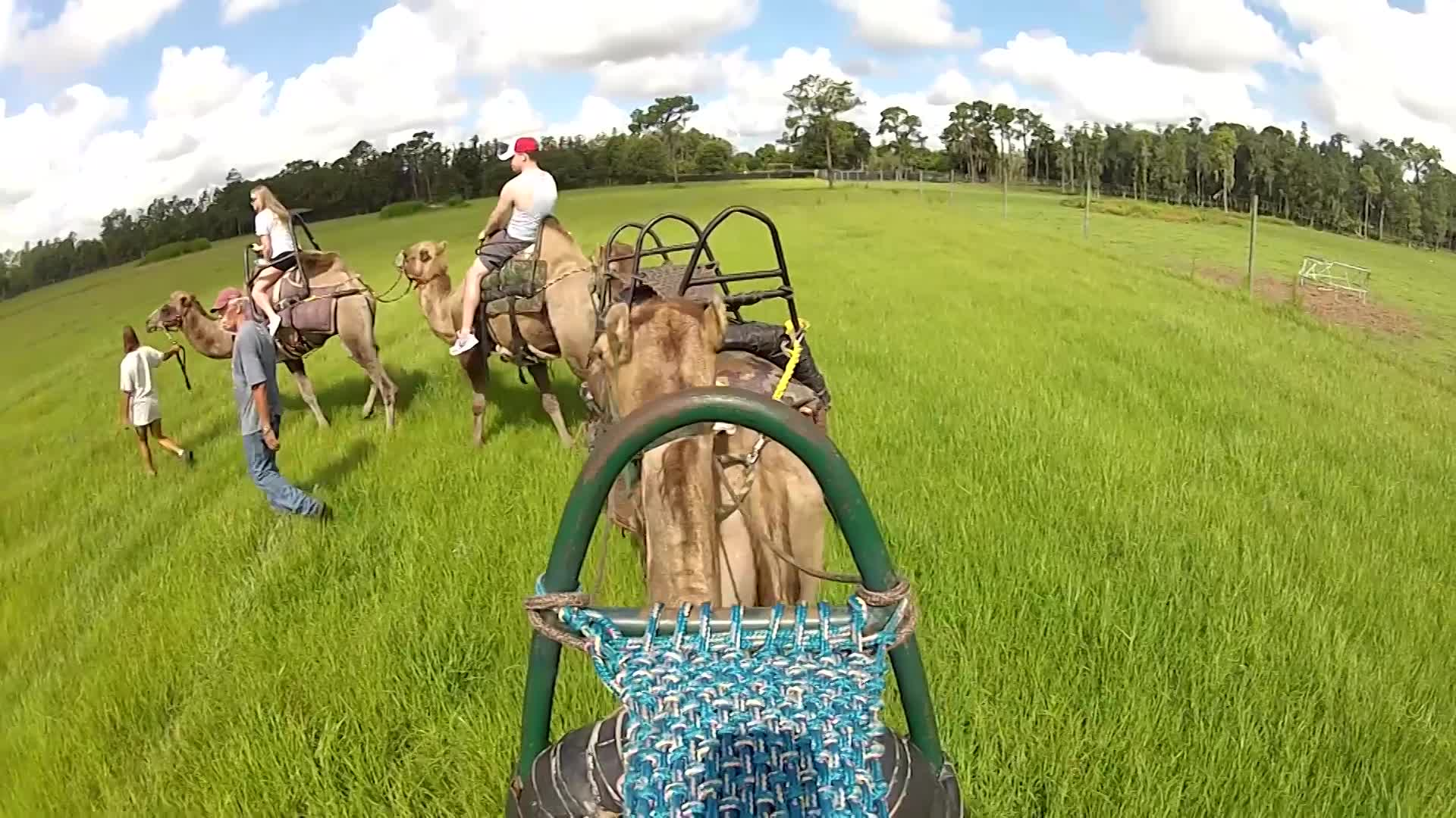 Encounter: Safari Wilderness 2020