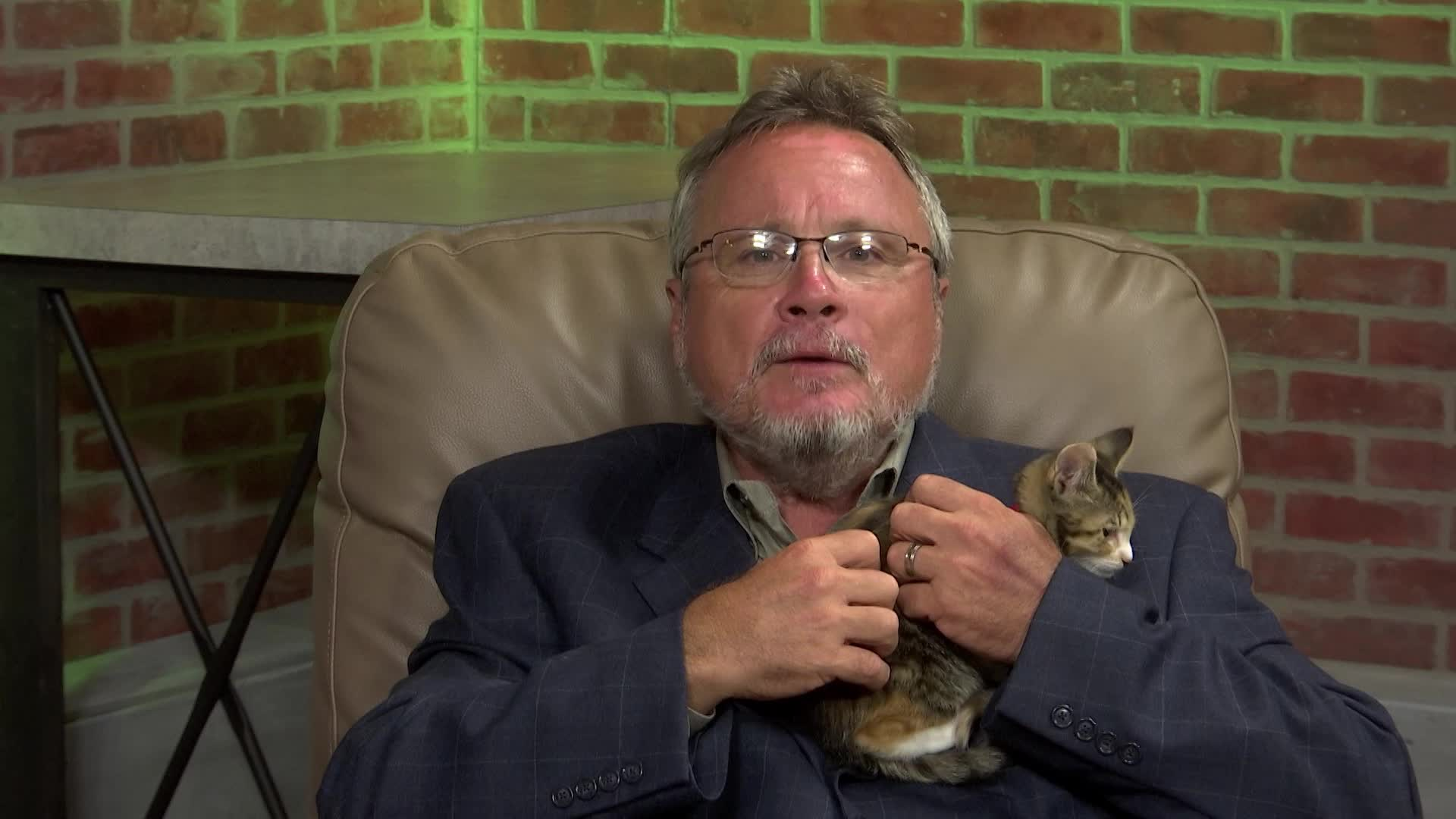 Thumbnail image for Polk Place: SPCA Florida Kitten Season, Foster Volunteers