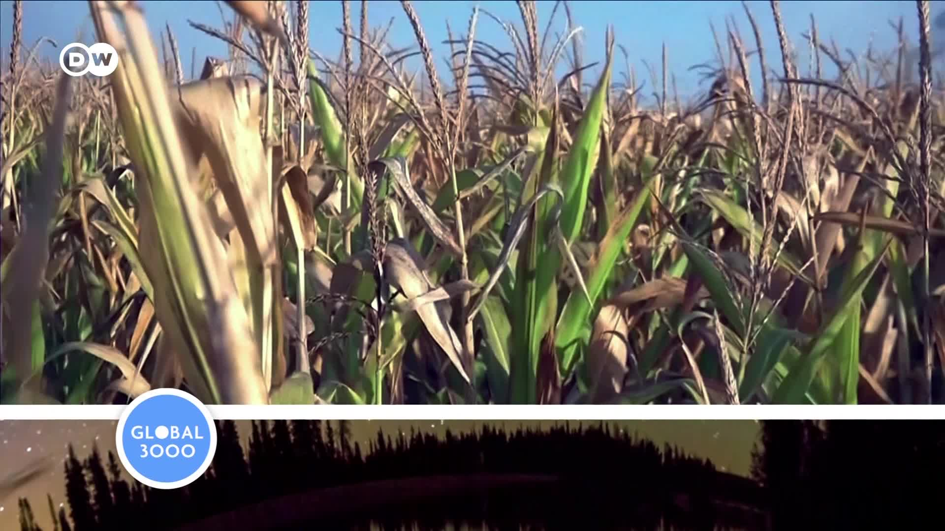 Thumbnail image for Global3000: June 3, 2020