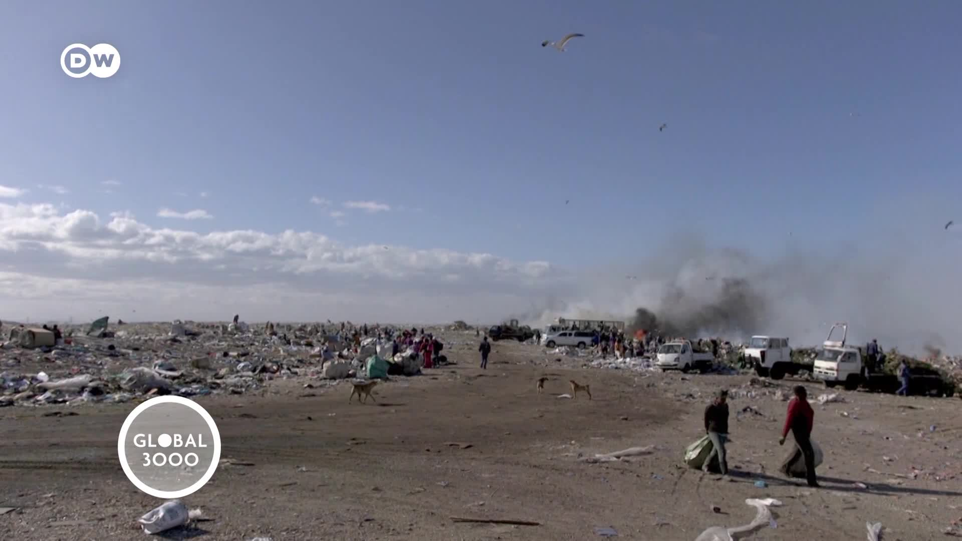 Thumbnail image for Global3000_July 1 2020