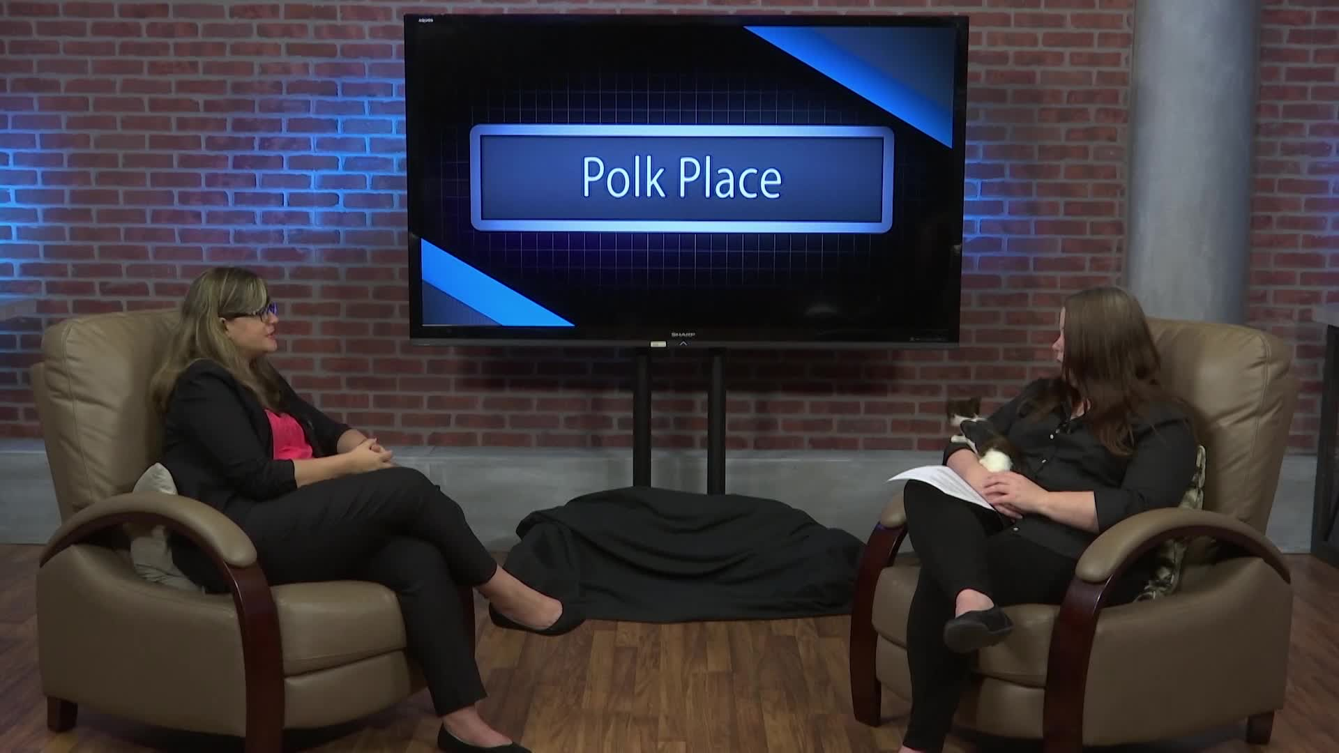 Thumbnail image for Polk Place: TLC Petsnip Feral Cat Assistance