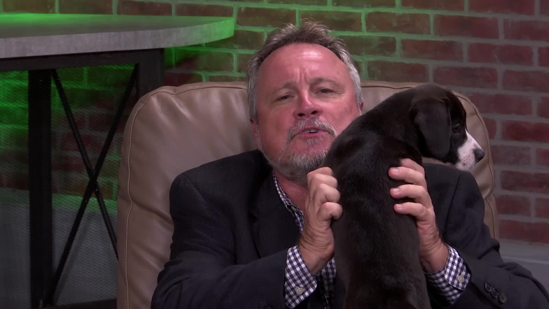 Thumbnail image for Polk Place: SPCA Florida Programs