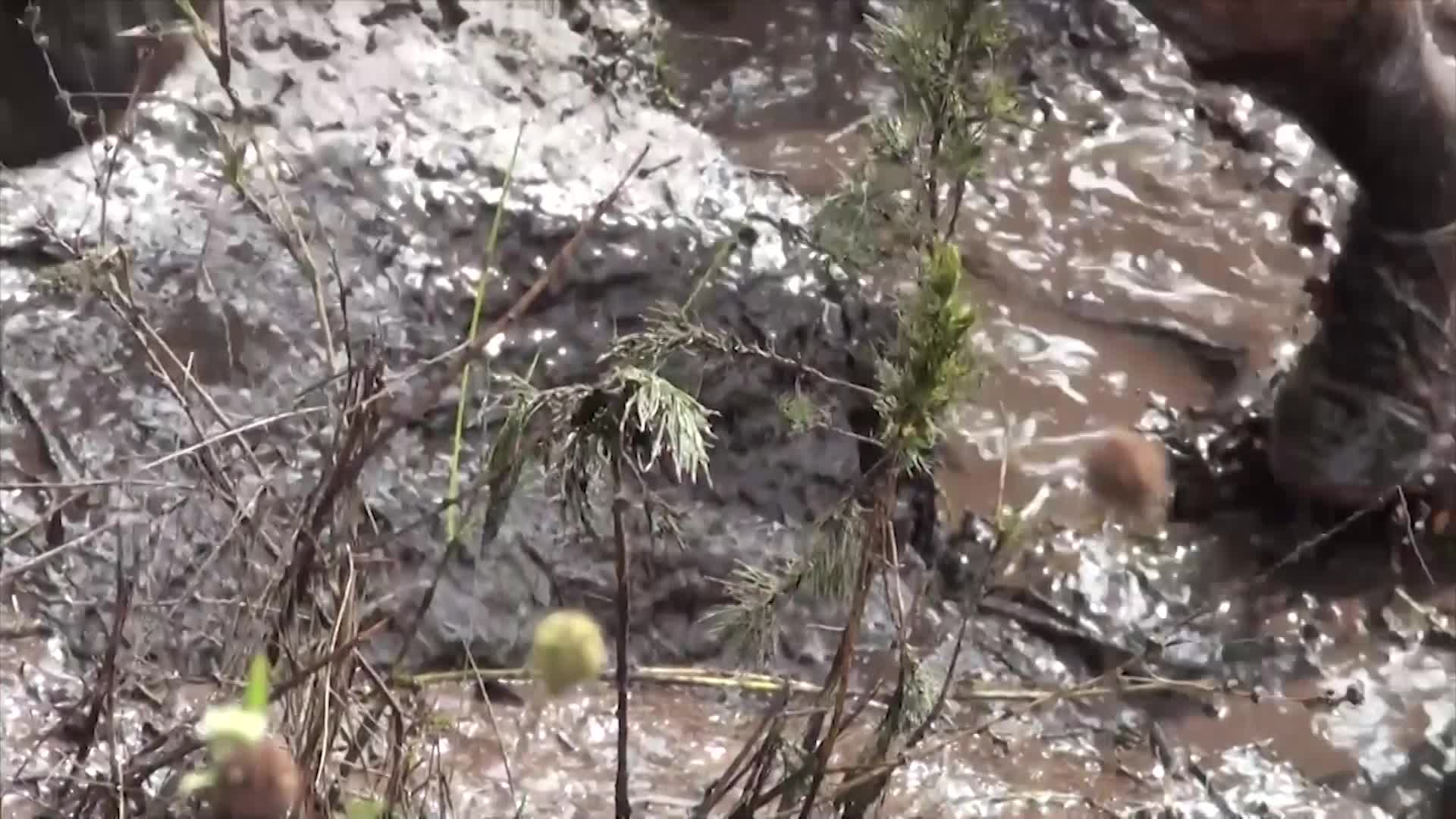 Thumbnail image for PGTV Services Promo; Events