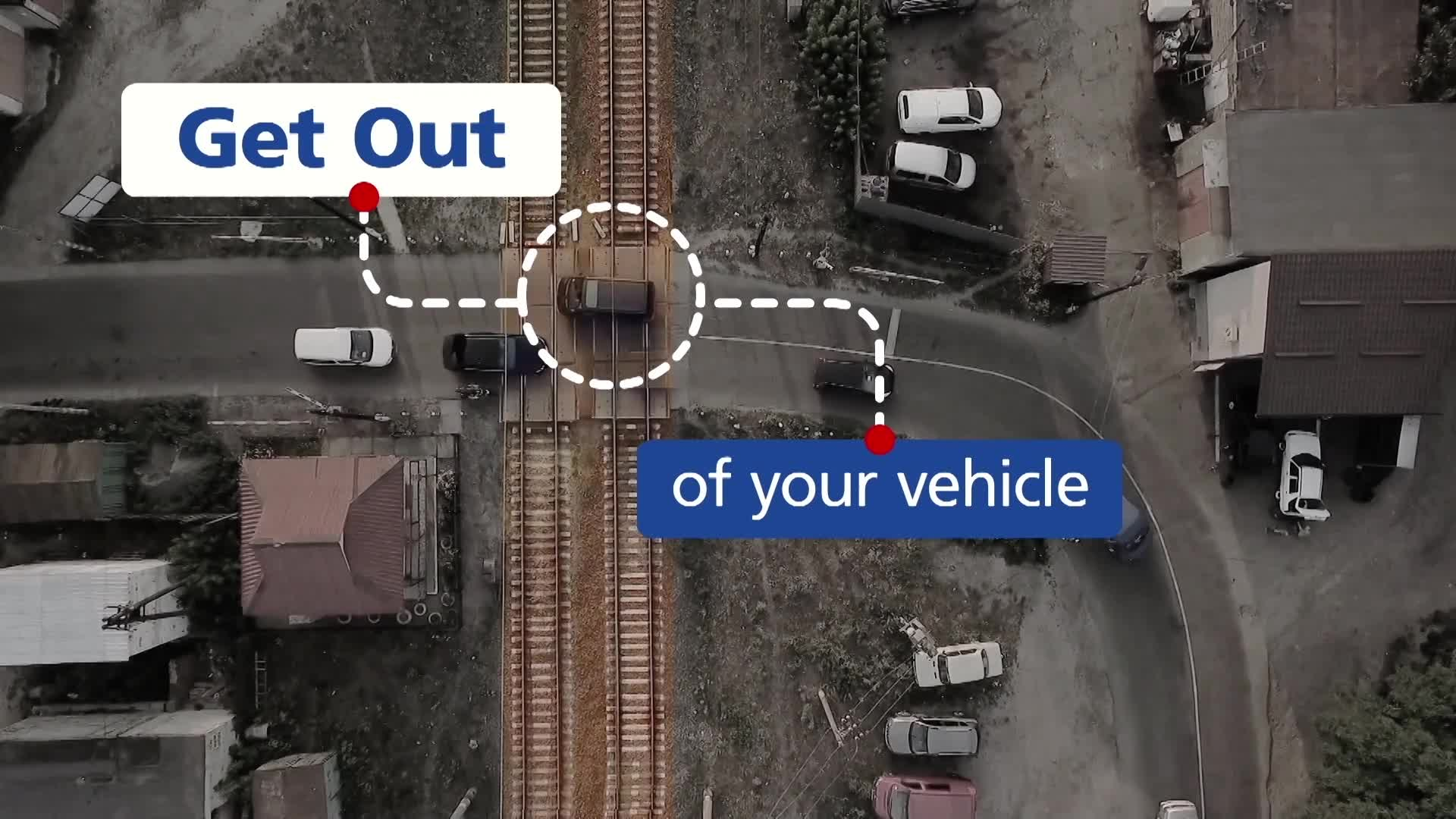 Thumbnail image for PSA 15 Find the Blue and White