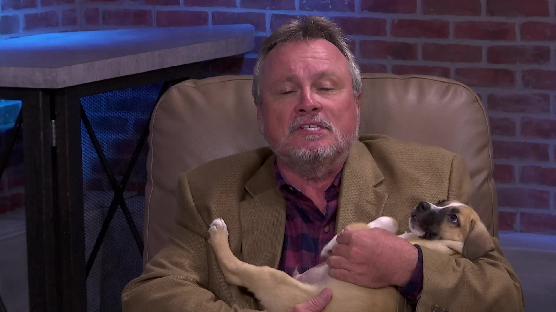 Thumbnail image for Polk Place; SPCA Florida Kitten Season; Megan Allan