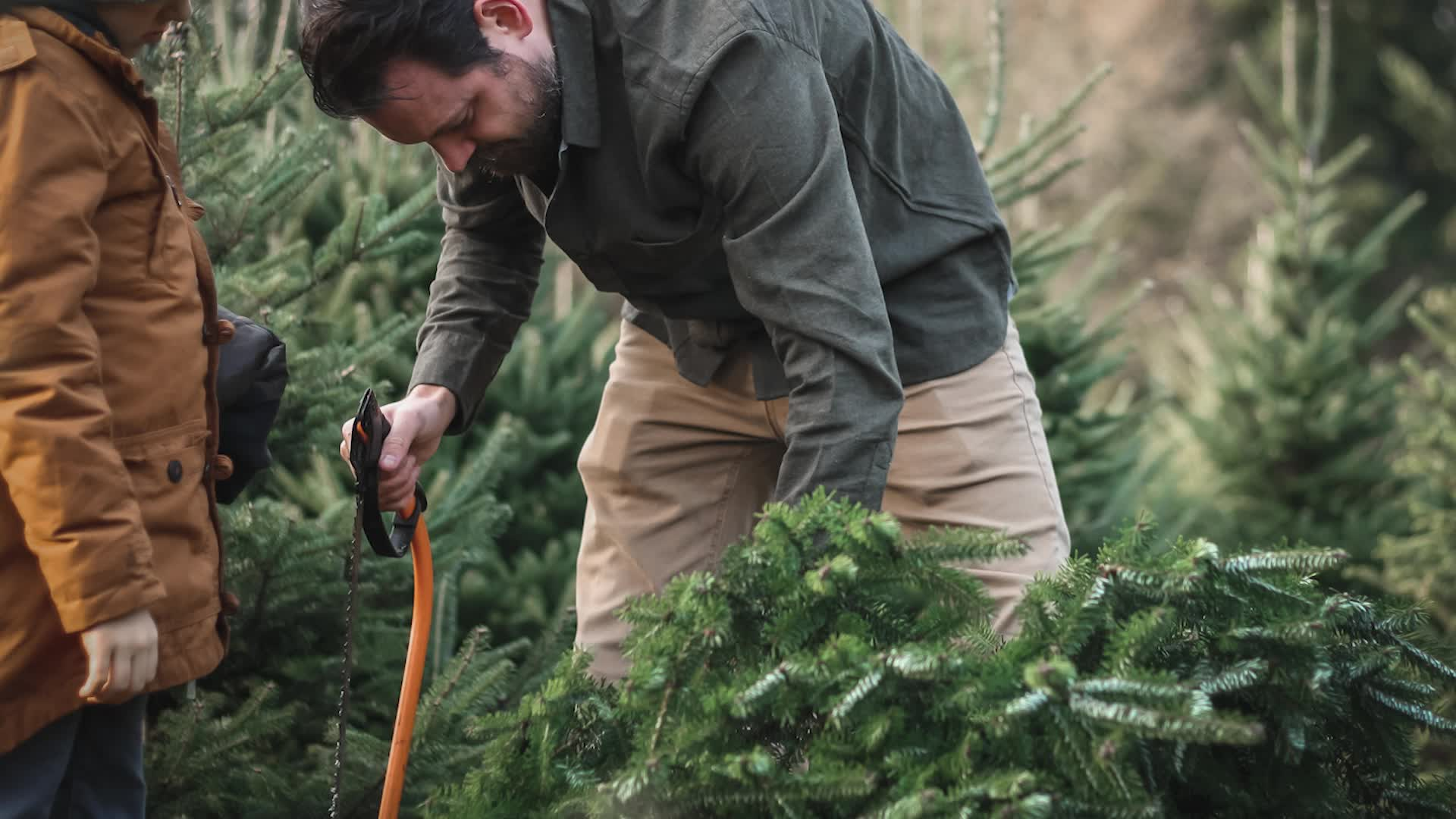Safe Living - Christmas Trees
