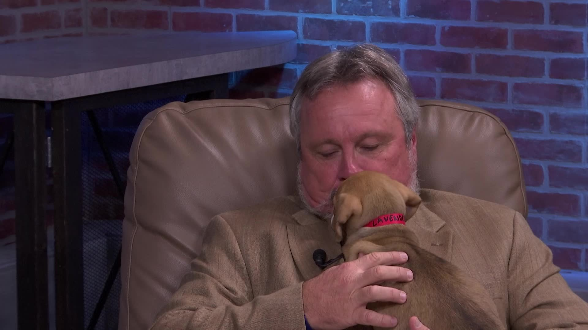 Thumbnail image for Polk Place - SPCA Florida February Dental Month