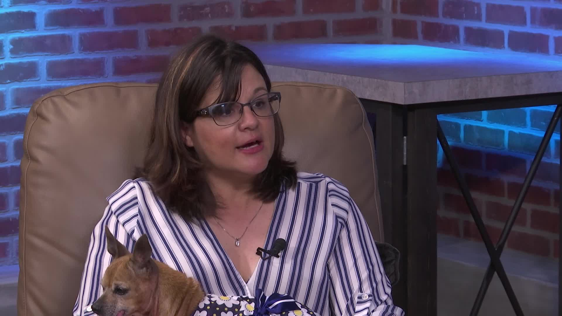 Thumbnail image for Polk Place - TLC Petsnip New Surgery Center