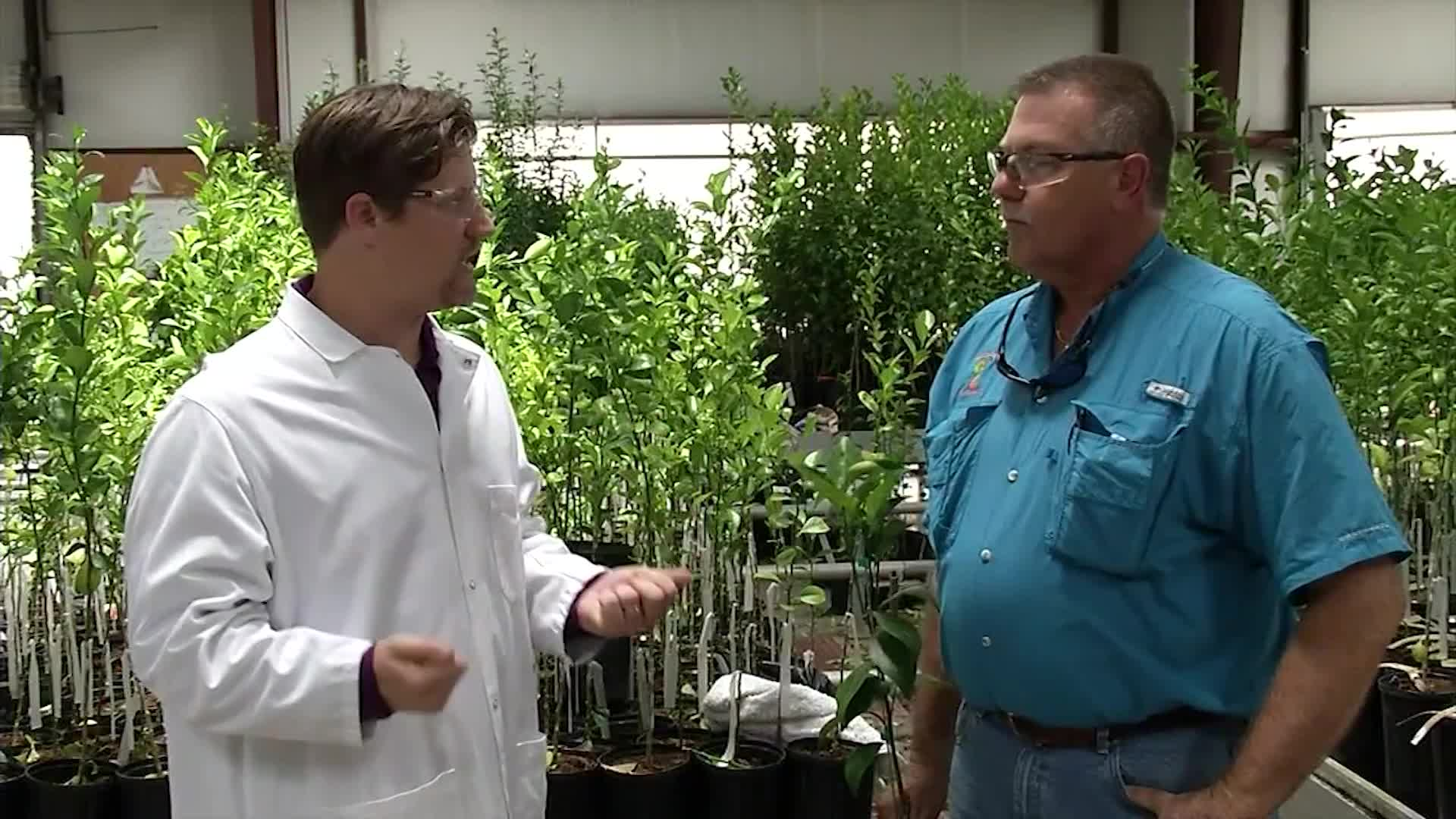 Thumbnail image for Science Quest- Citrus Farming