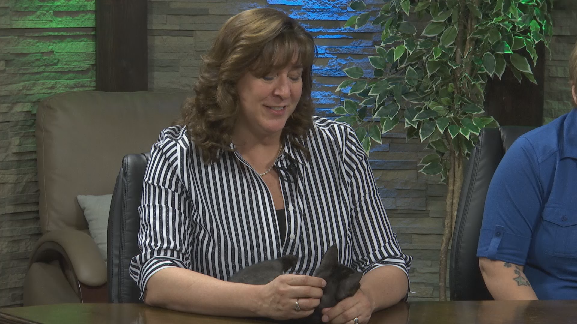 Better with Age: Linda May, Nichole Hoag, Alisa Simpkin