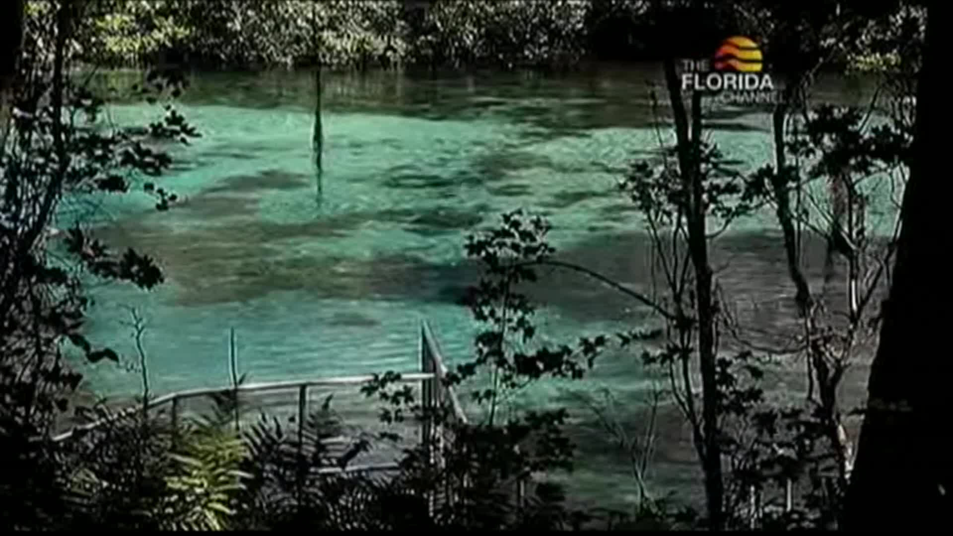 Thumbnail image for Florida Crossroads: State Parks - Springs Edition