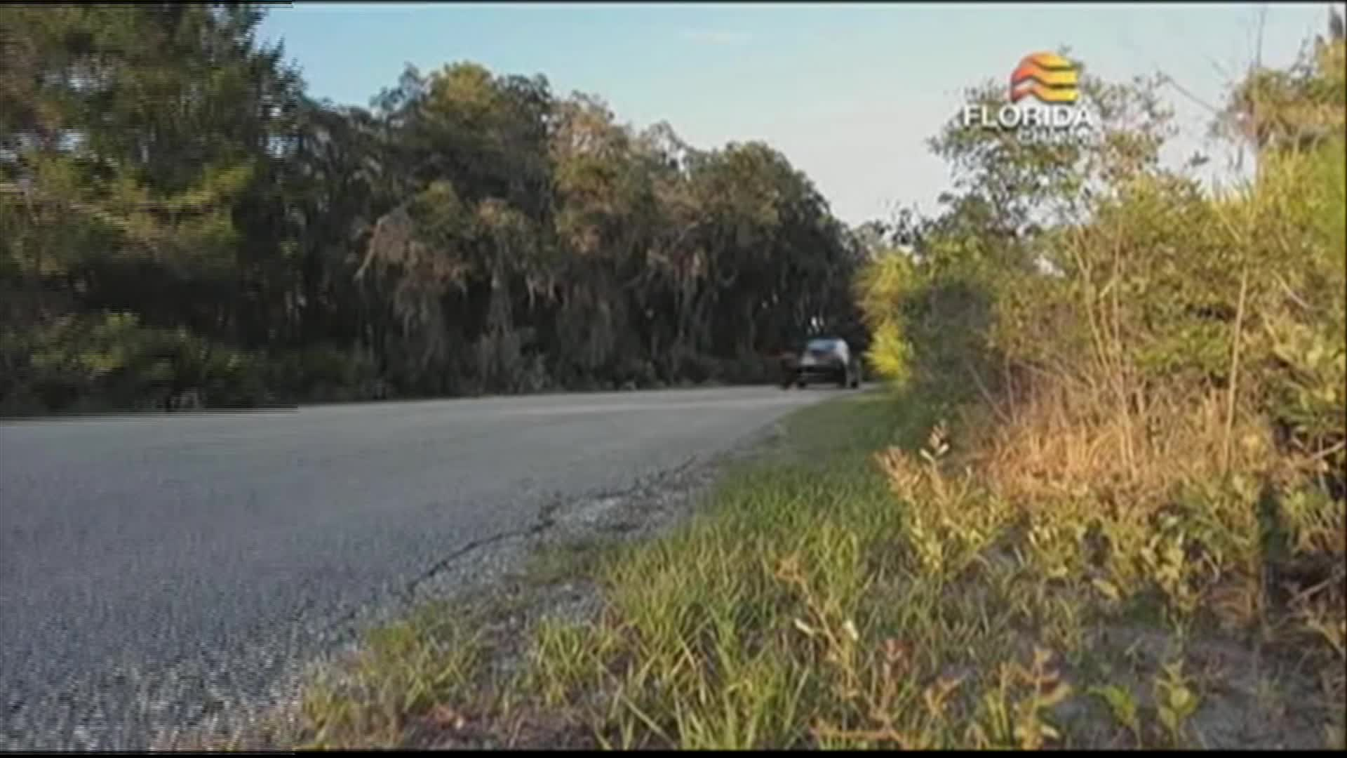 Thumbnail image for Florida Crossroads: Florida's EV Adventure