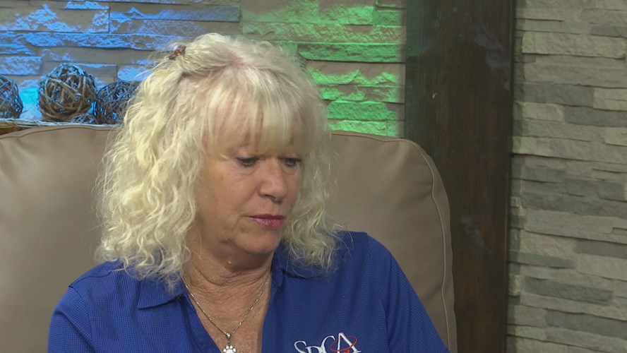 Thumbnail image for Polk Place: SPCA Florida Surrender Fees - Connie Johnson