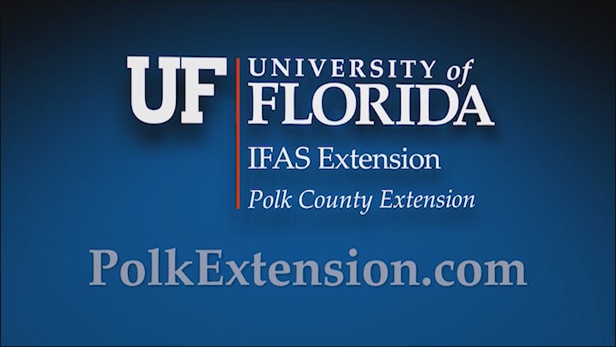 UF/IFAS Promotional