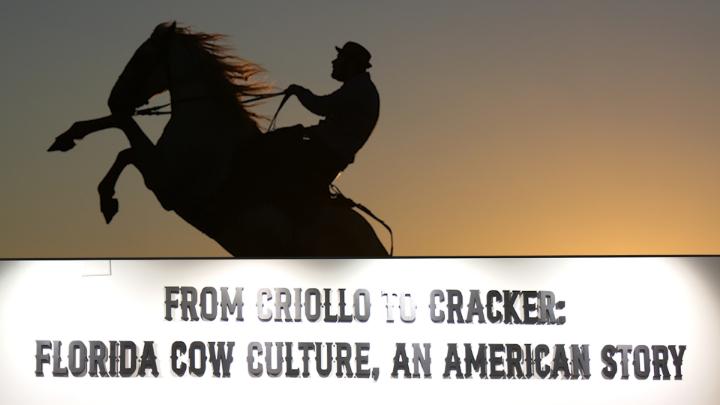 Thumbnail image for Cow Culture Exhibit
